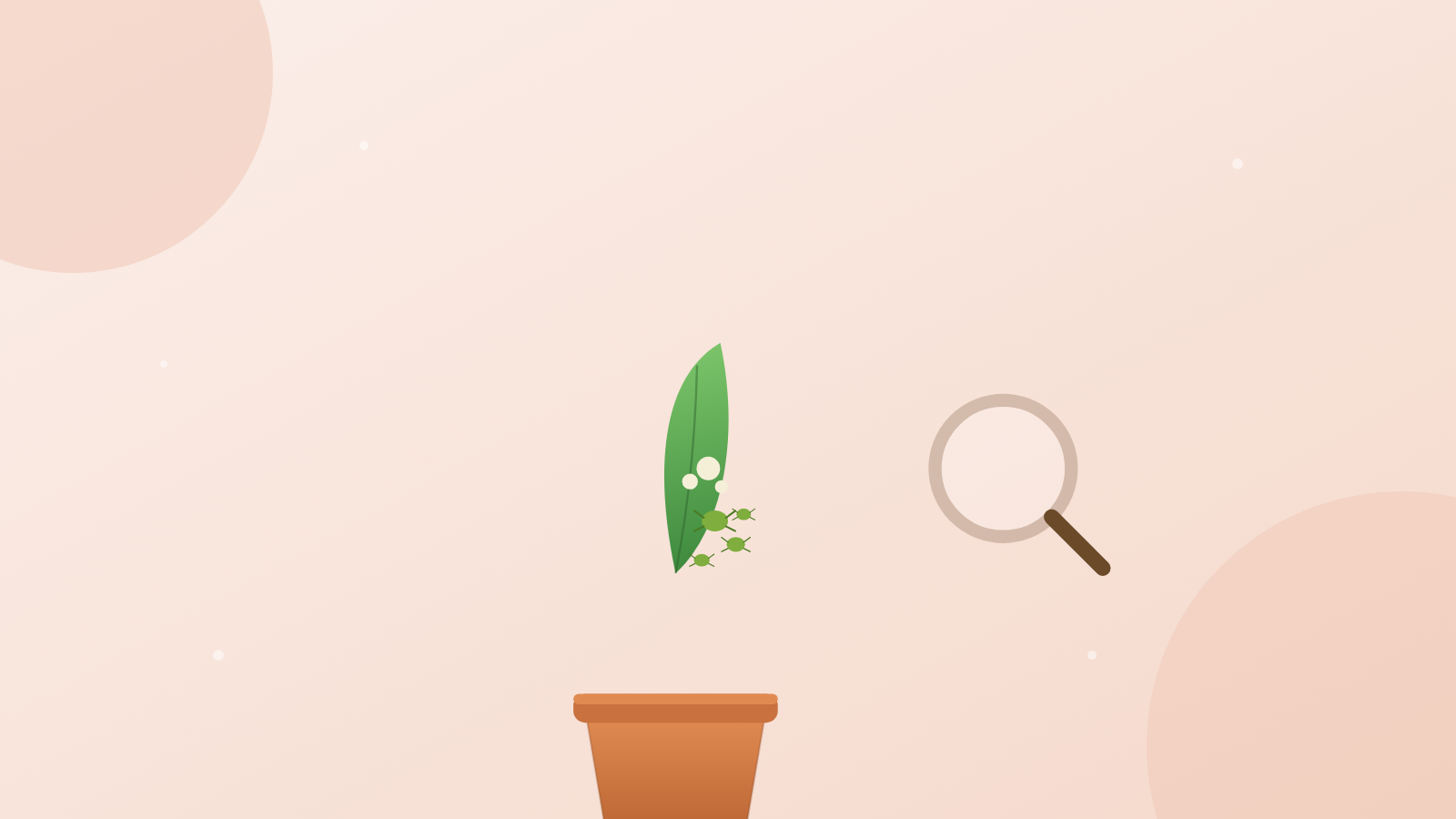 観葉植物の害虫チェックのイラスト