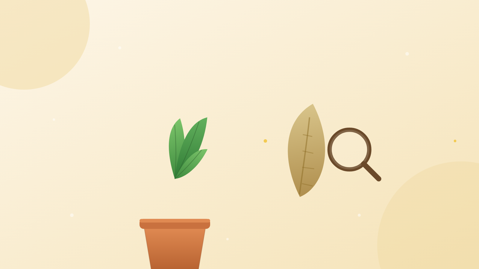 観葉植物の葉が黄色くなる様子のイラスト